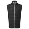 Black / Grey