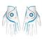 White / Light Blue