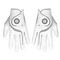White / Dove Grey